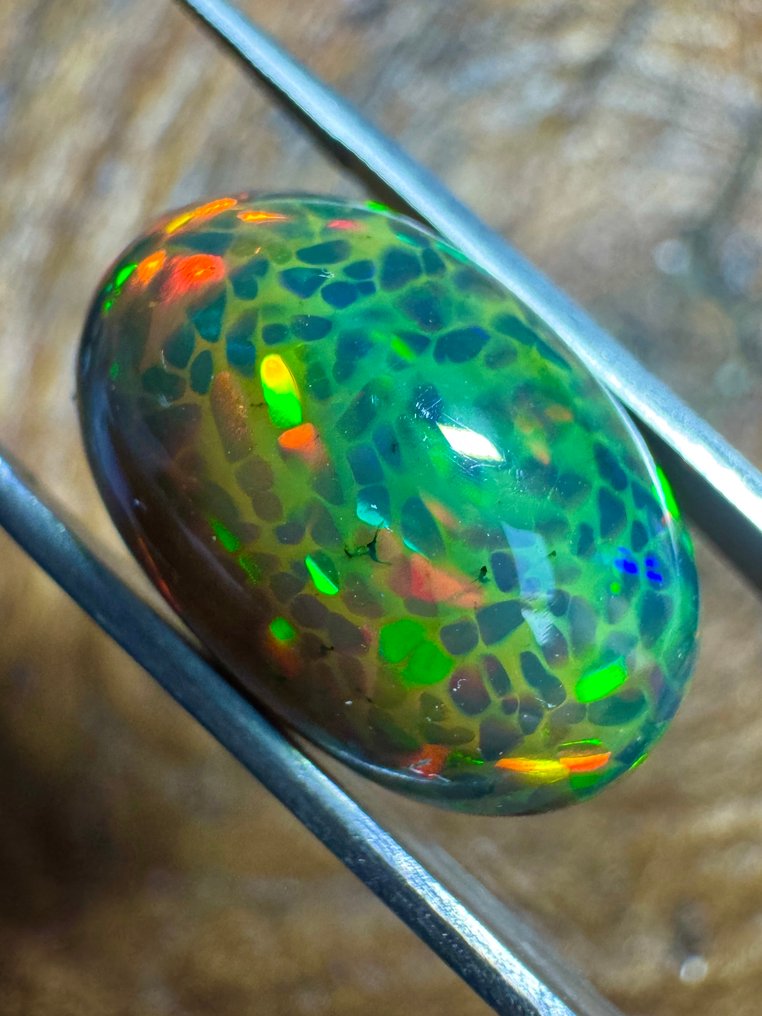 Qualità top! Opale nero d'Etiopia. 16,04 carati. Cabochon ovale - Altezza: 20.2 mm - Larghezza: 13.2 mm- 3.21 g #1.0