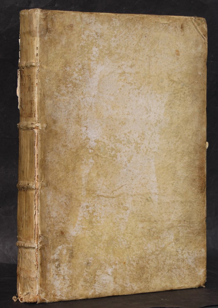 Ulisse Aldrovandi - [Zoology] De quadrupedibus solidipedibus volumen integrum - 1639-1648 #2.1