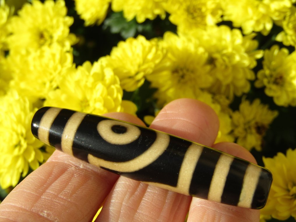 Rare U.V. "Oṃ maṇi padme hūm̐" 2 Eyes Dzi (56mm) with Vajra Stand - Blessed by Monk- 12.2 g - (3) #2.1