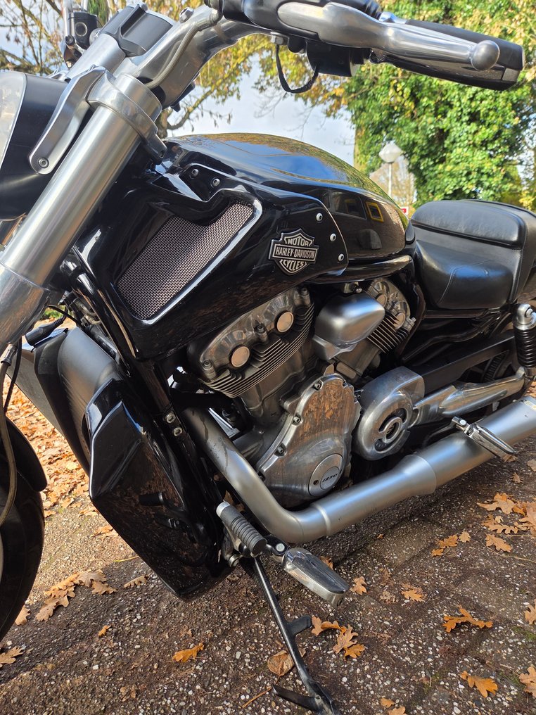 Harley-Davidson - VRSCF - V-Rod - Muscle - 1250 cc - 2014 #4.3