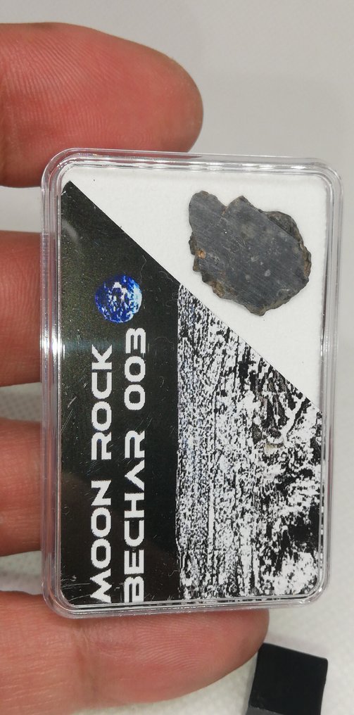 Béchar 003（长石角砾岩）完整切片。无底价。 無粒隕石 - 0.67 g #3.2