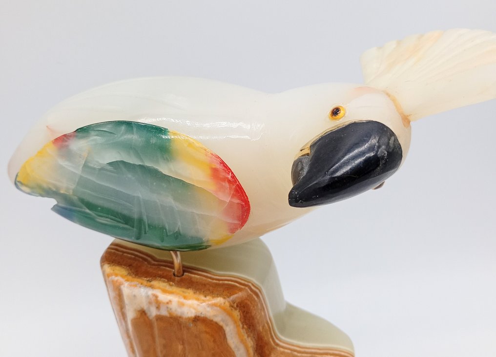 Figura - Pappagallo - Kő #1.0