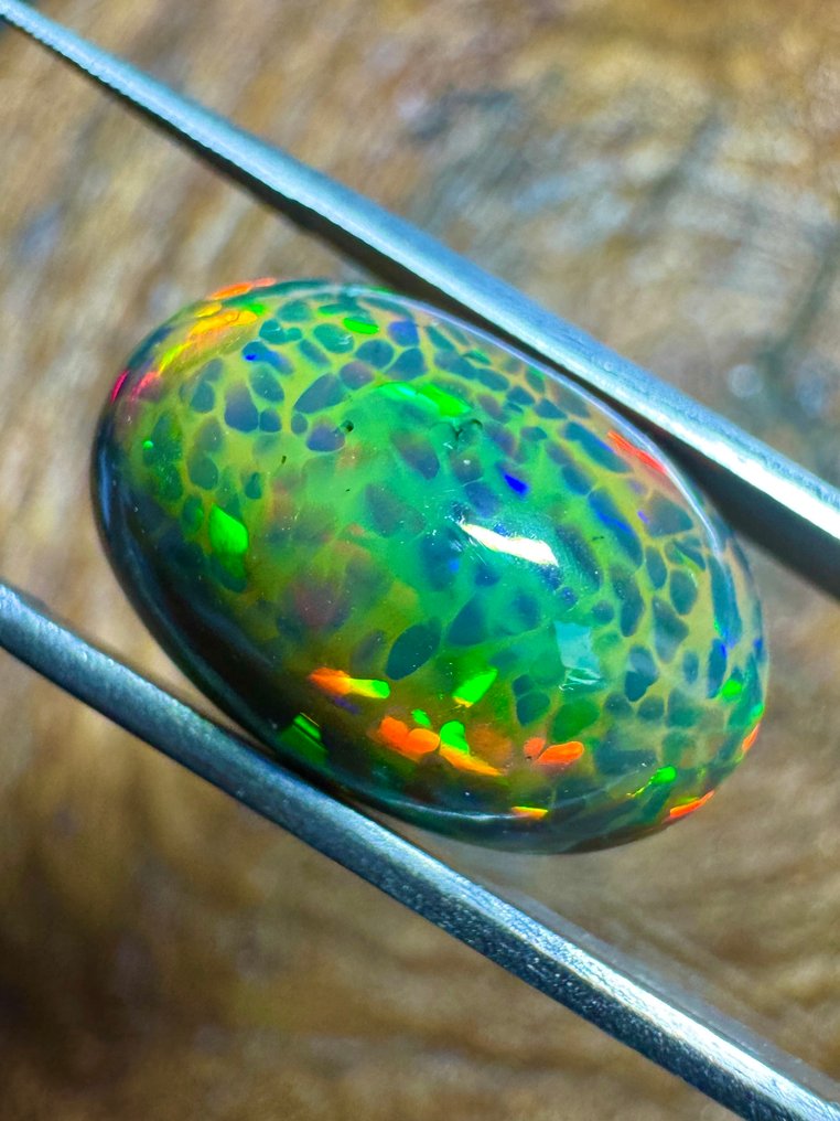 Qualità top! Opale nero d'Etiopia. 16,04 carati. Cabochon ovale - Altezza: 20.2 mm - Larghezza: 13.2 mm- 3.21 g #1.0