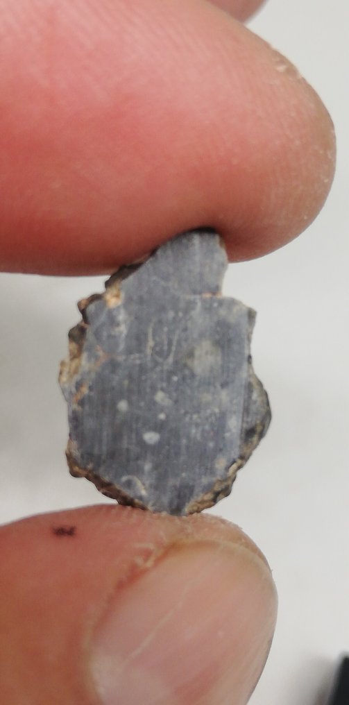 Béchar 003（长石角砾岩）完整切片。无底价。 無粒隕石 - 0.67 g #1.0