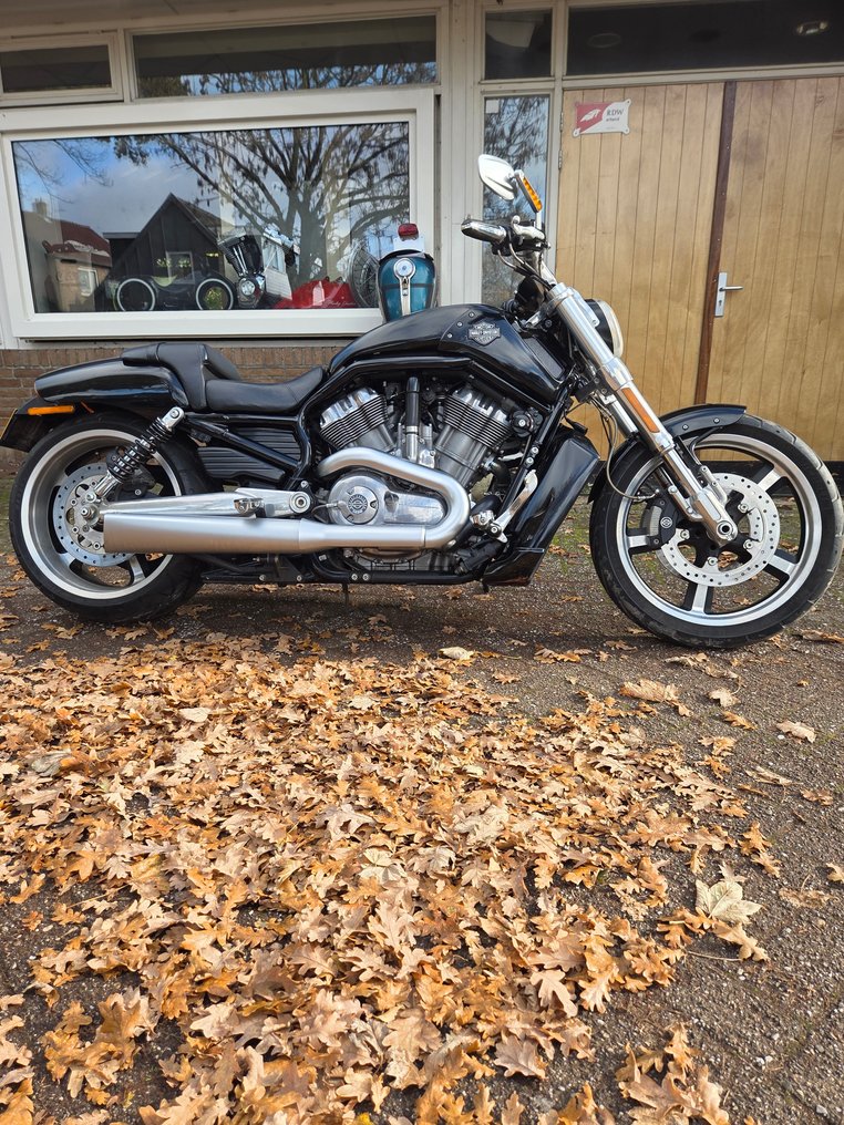 Harley-Davidson - VRSCF - V-Rod - Muscle - 1250 cc - 2014 #1.0