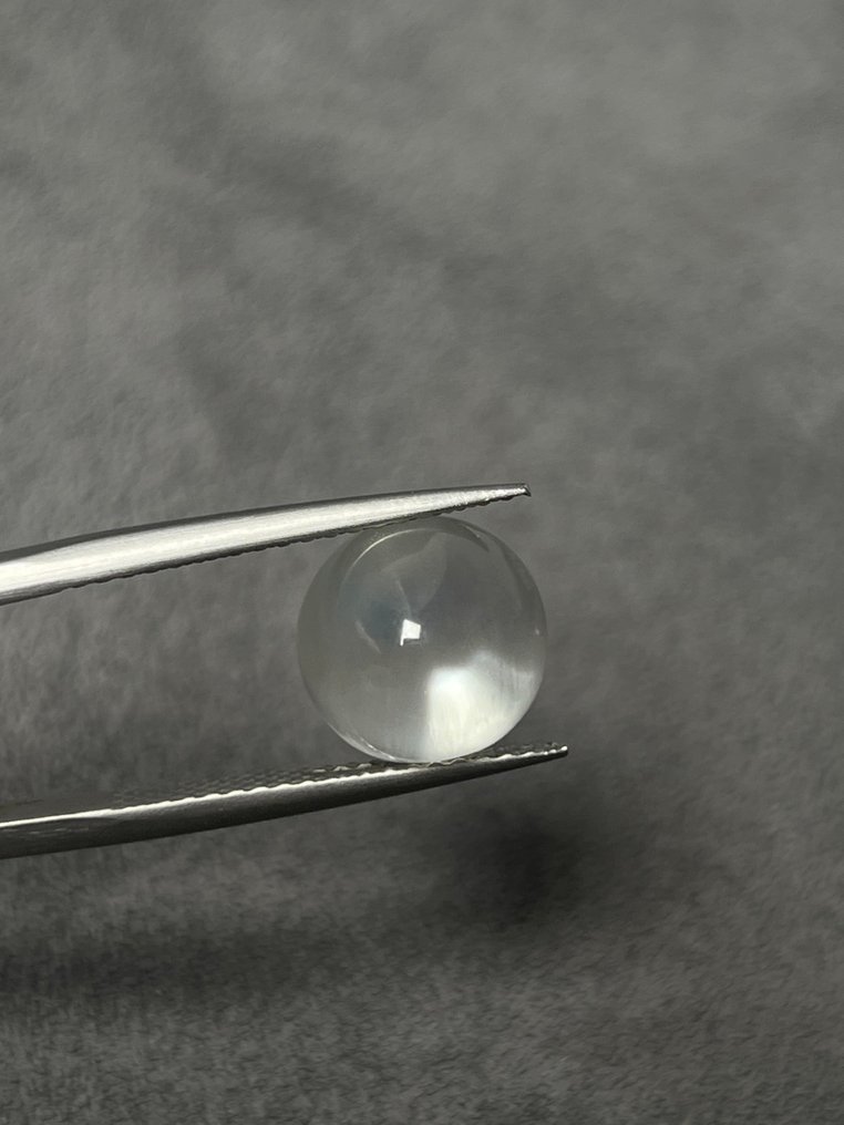 1 pcs Λευκό Φεγγαρόπετρα - 9.20 ct - Antwerp Laboratory for Gemstone Testing (ALGT) #1.0