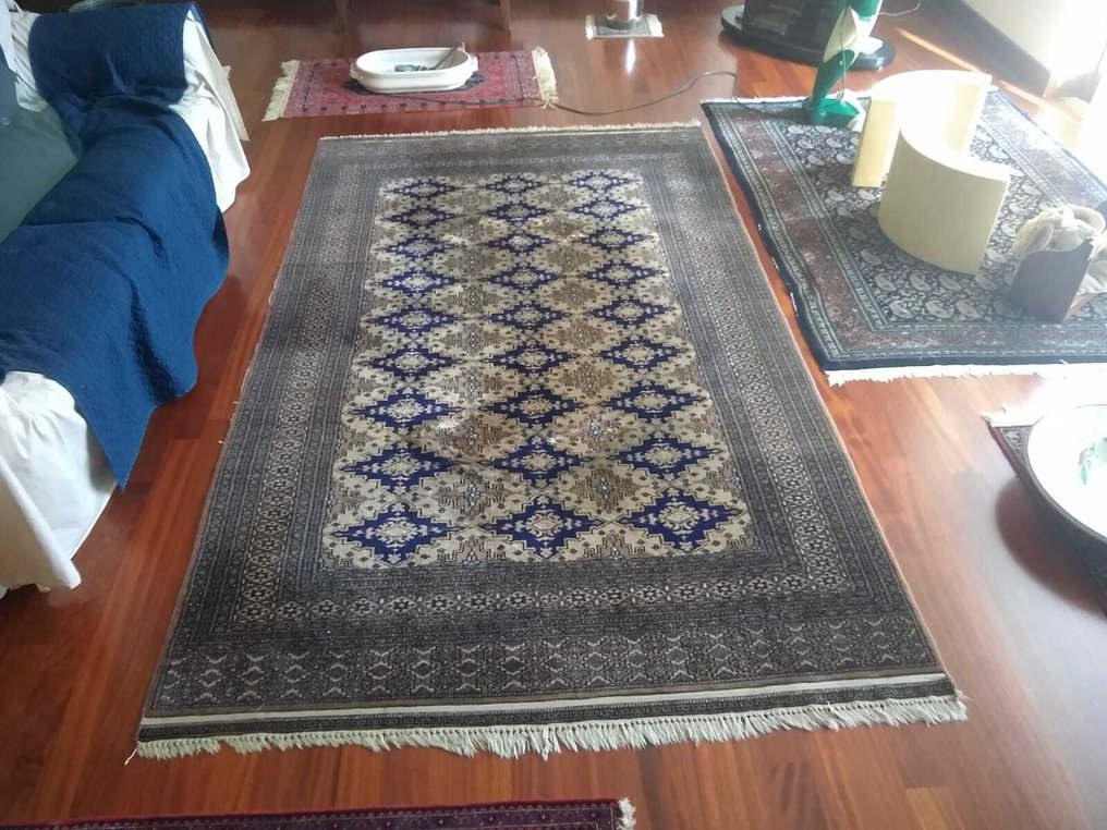 Teppich - 250 cm - 150 cm #1.0