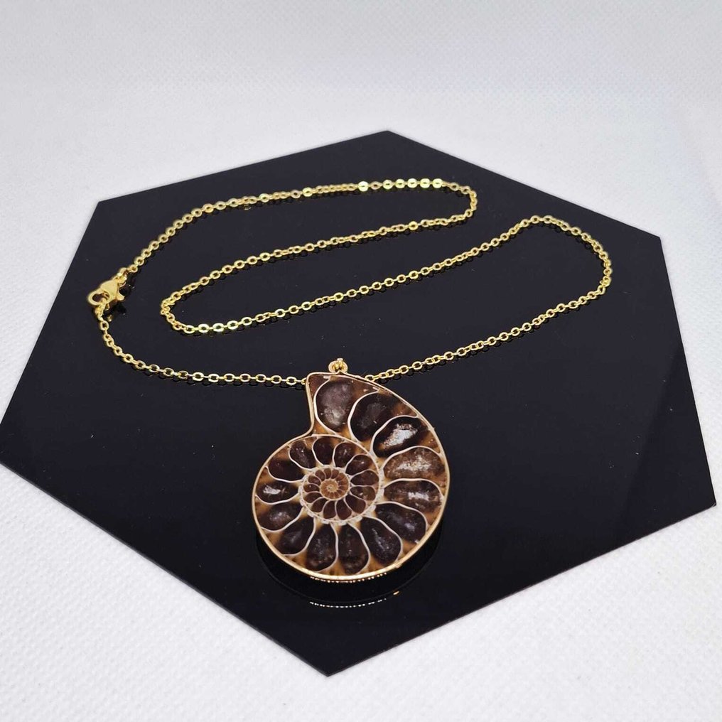 Plaqué or - Collier avec pendentif - Ammonite fossile #1.0