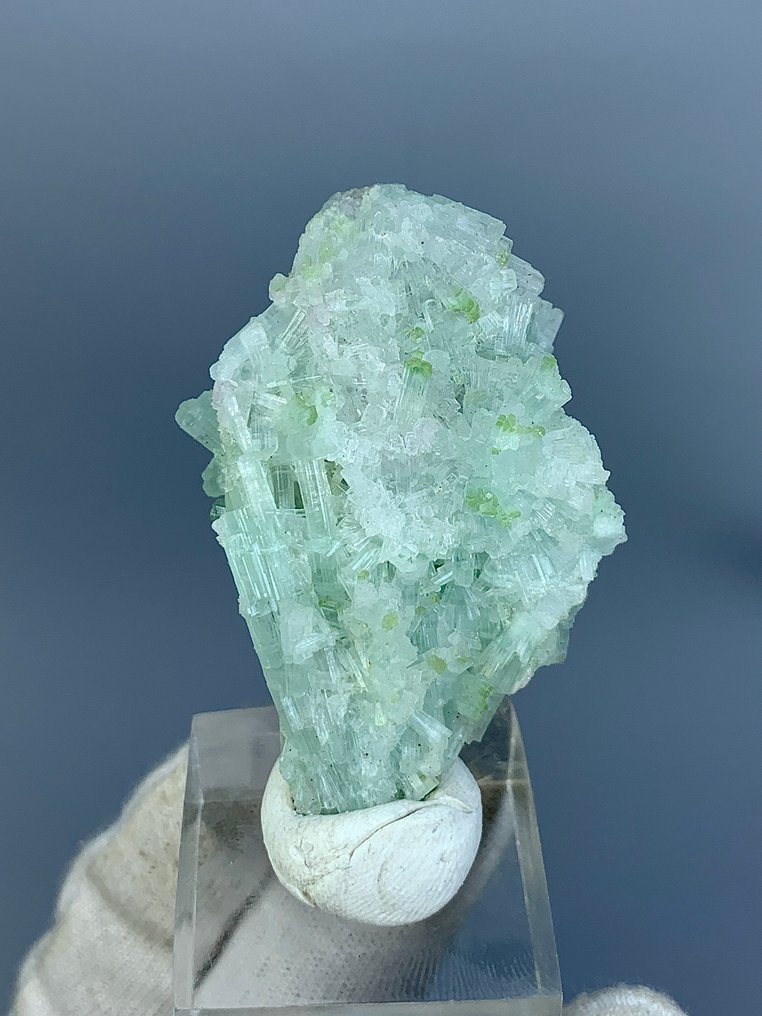 NO Reserve Price Tourmaline bunch Crystal cluster - Height: 70 mm - Width: 57 mm- 422 kg - (7) #1.0
