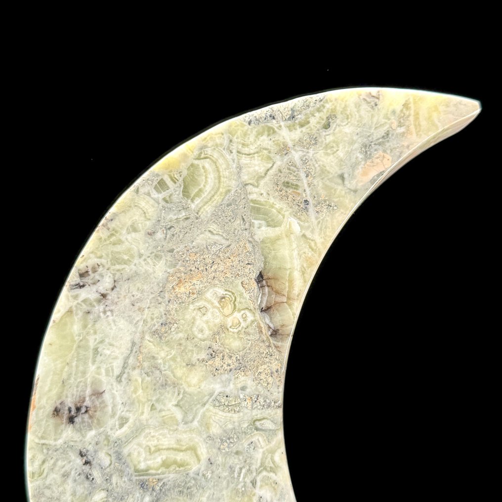 Ei varauksellista hintaa - Kaunis onyksi Vasemmalle kääntyvä kuunsarvimainen esine räätälöidyssä jalustassa - Korkeus: 28 cm - Leveys: 15.5 cm- 1600 g - (1) #2.1