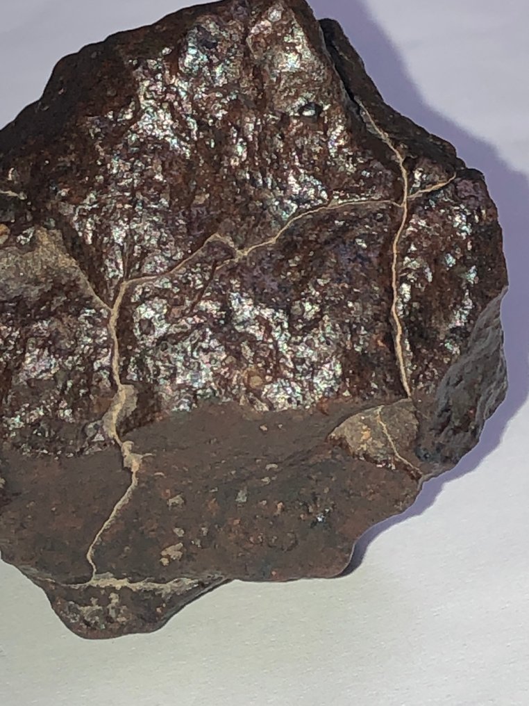 Ukategorisert meteoritt chondrite - analysert som LL3-W3 - Høyde: 4.5 cm - Bredde: 3.4 cm - 144 g - (1) #1.0