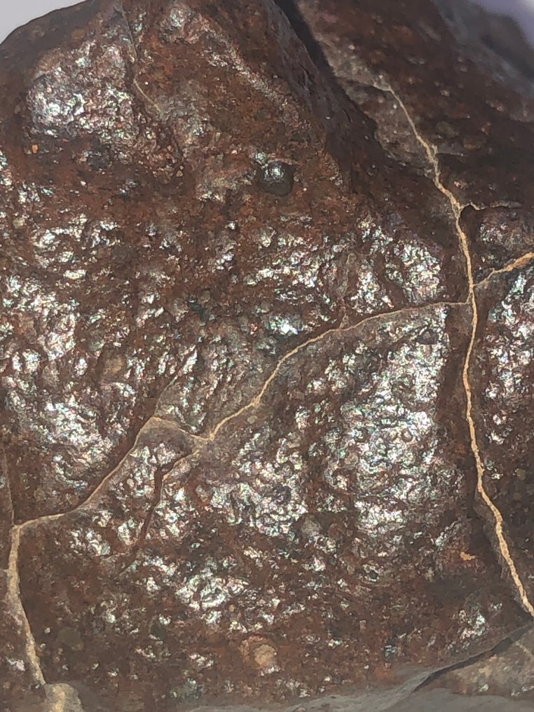 Ukategorisert meteoritt chondrite - analysert som LL3-W3 - Høyde: 4.5 cm - Bredde: 3.4 cm - 144 g - (1) #1.0