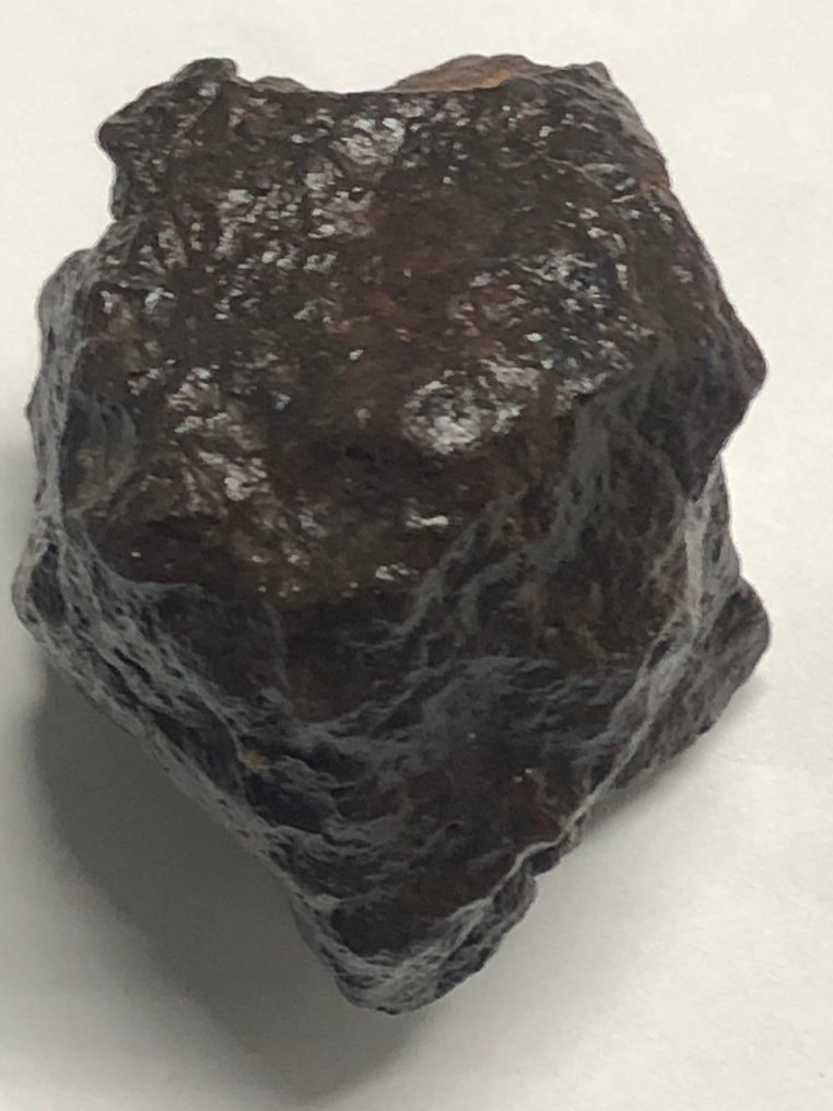 Ukategorisert meteoritt chondrite - analysert som LL3-W3 - Høyde: 4.5 cm - Bredde: 3.4 cm - 144 g - (1) #3.2