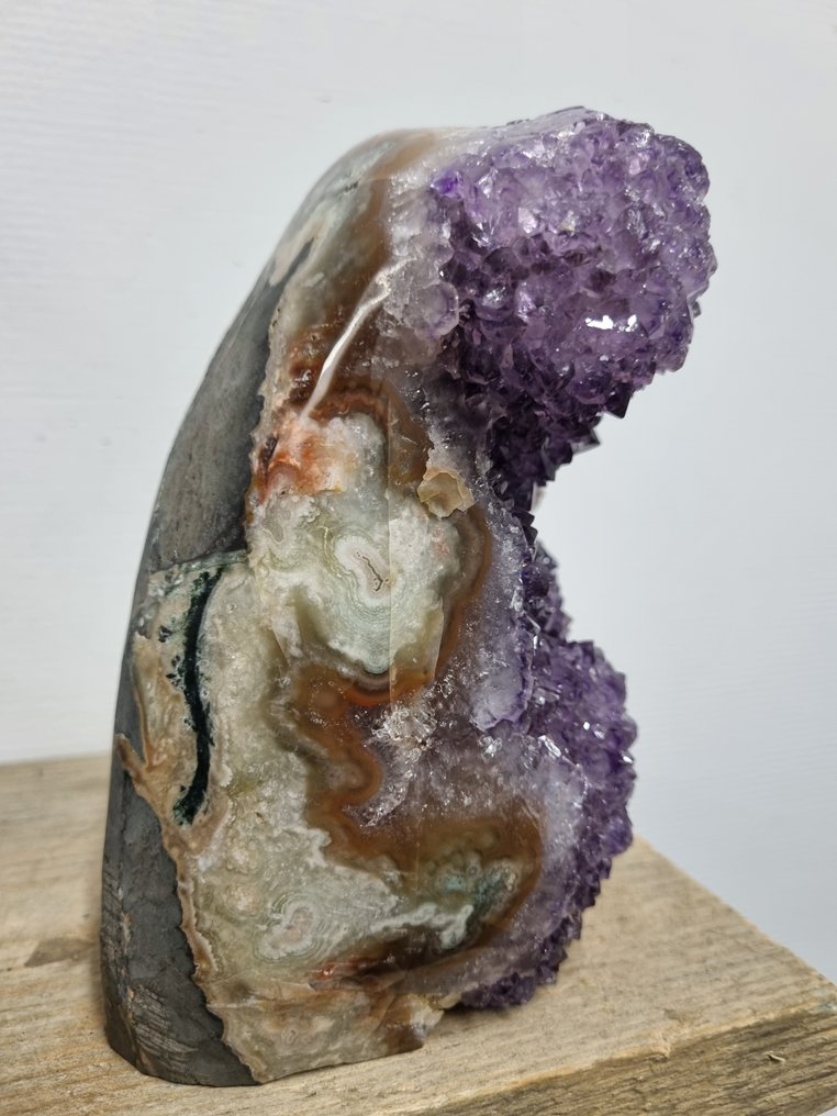 高品质 - 大紫水晶 - 钟乳石 奢侈品展示架上的集群 - 高度: 167 mm - 宽度: 130 mm- 2898 g #2.1