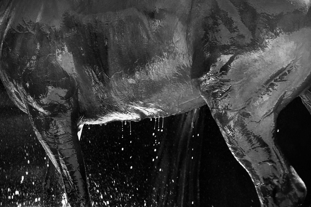 Anne-Armelle Langlois - Eau #1.0