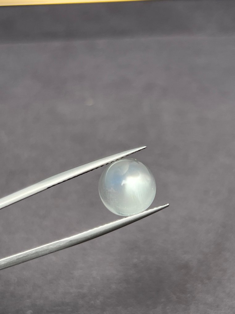 1 pcs Λευκό Φεγγαρόπετρα - 9.20 ct - Antwerp Laboratory for Gemstone Testing (ALGT) #3.2