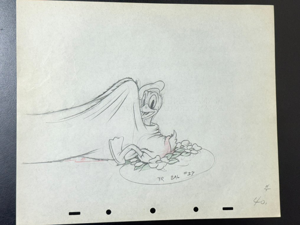 Walt Disney - Donald Duck Production Drawing (1937) - Moose Hunters #1.0