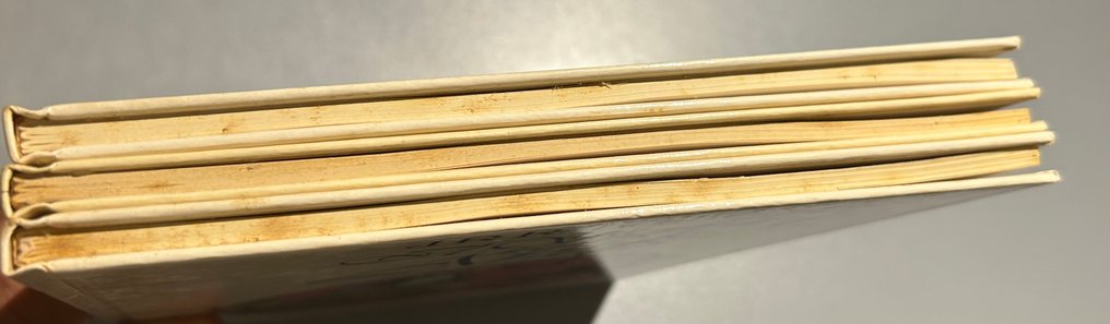 Il Signore degli Anelli - collana completa - 3 Album - 1979/1981 #4.3