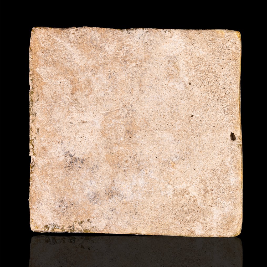 Σελτζουκ Κεραμιδί πλακάκι με ζωομορφικό μοτίβο.  (χωρίς τιμή ασφαλείας) #2.1