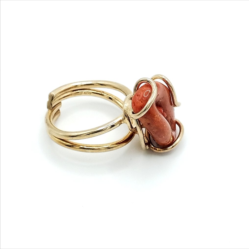 Vörös korall Korall - Corallium rubrum #1.0