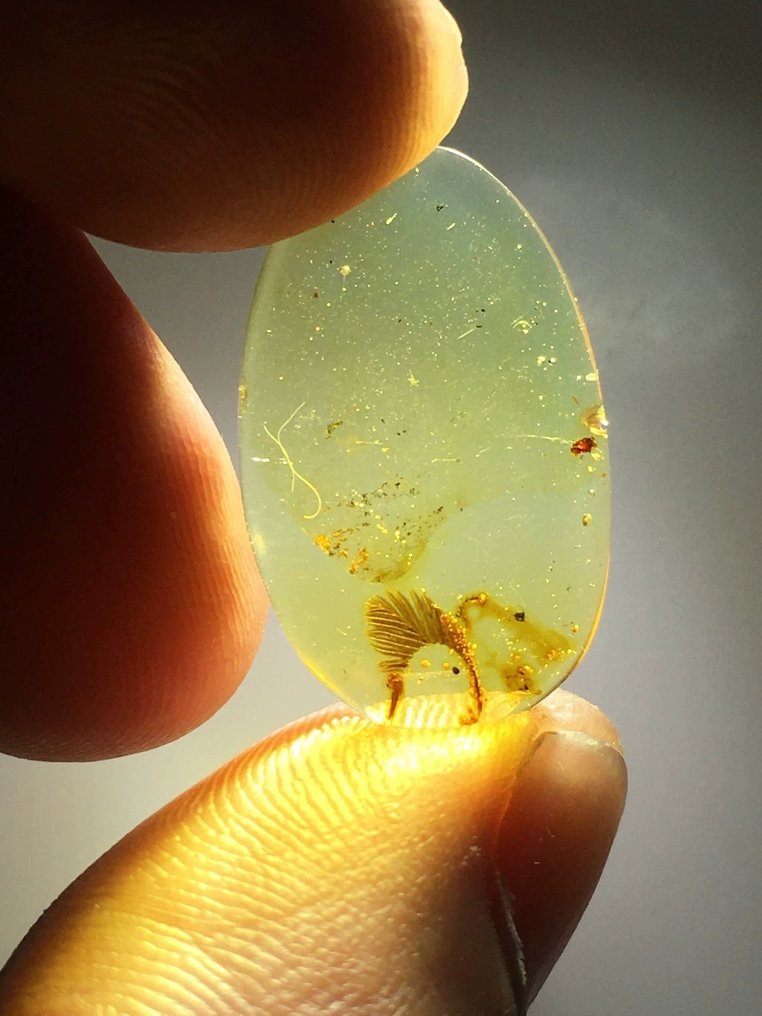 B - feather - 22.8 mm - 14 mm #2.1