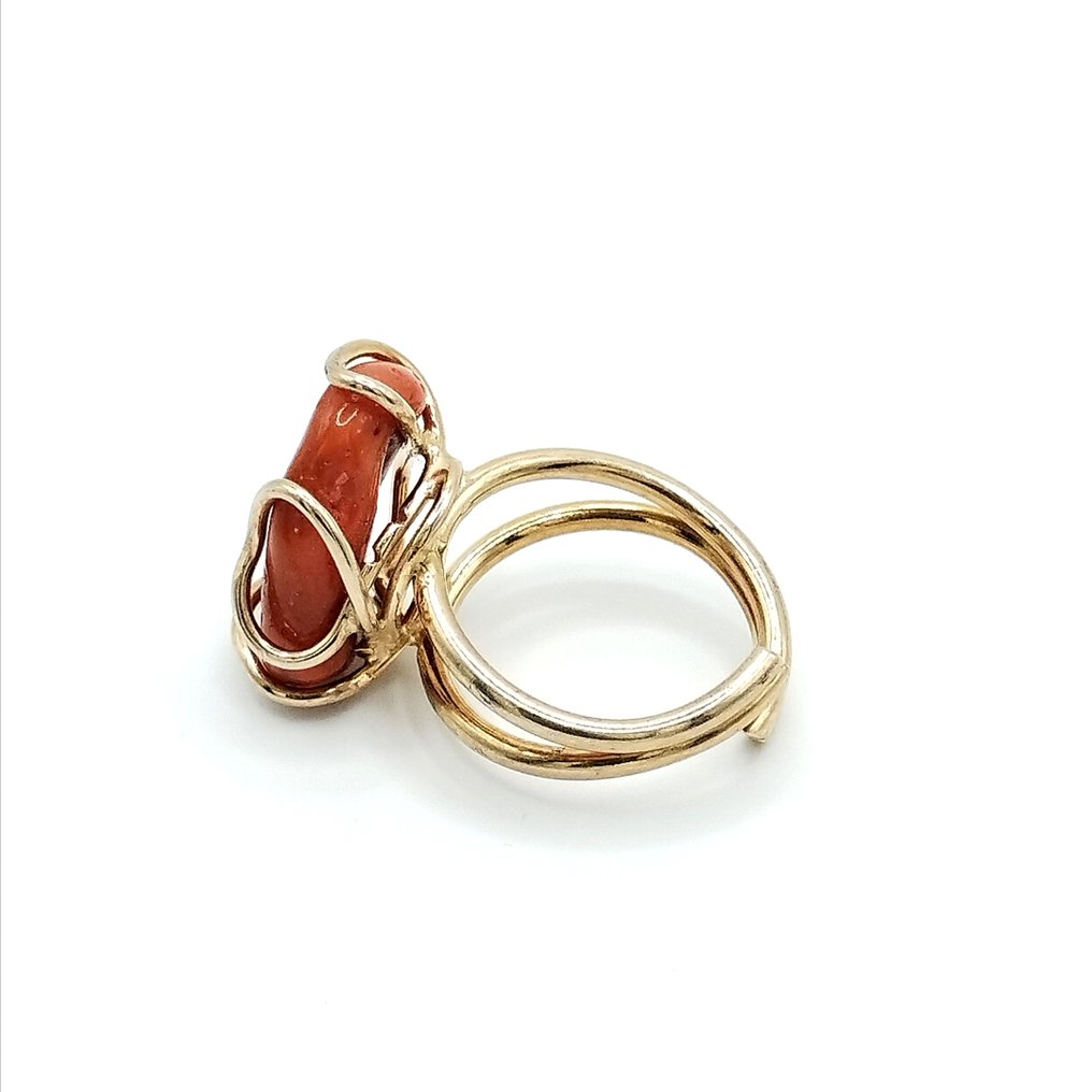 Vörös korall Korall - Corallium rubrum #4.3