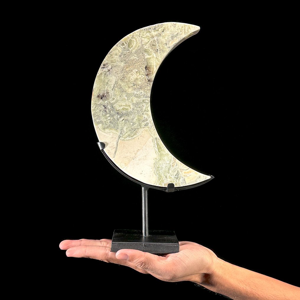 Ei varauksellista hintaa - Kaunis onyksi Vasemmalle kääntyvä kuunsarvimainen esine räätälöidyssä jalustassa - Korkeus: 28 cm - Leveys: 15.5 cm- 1600 g - (1) #1.0