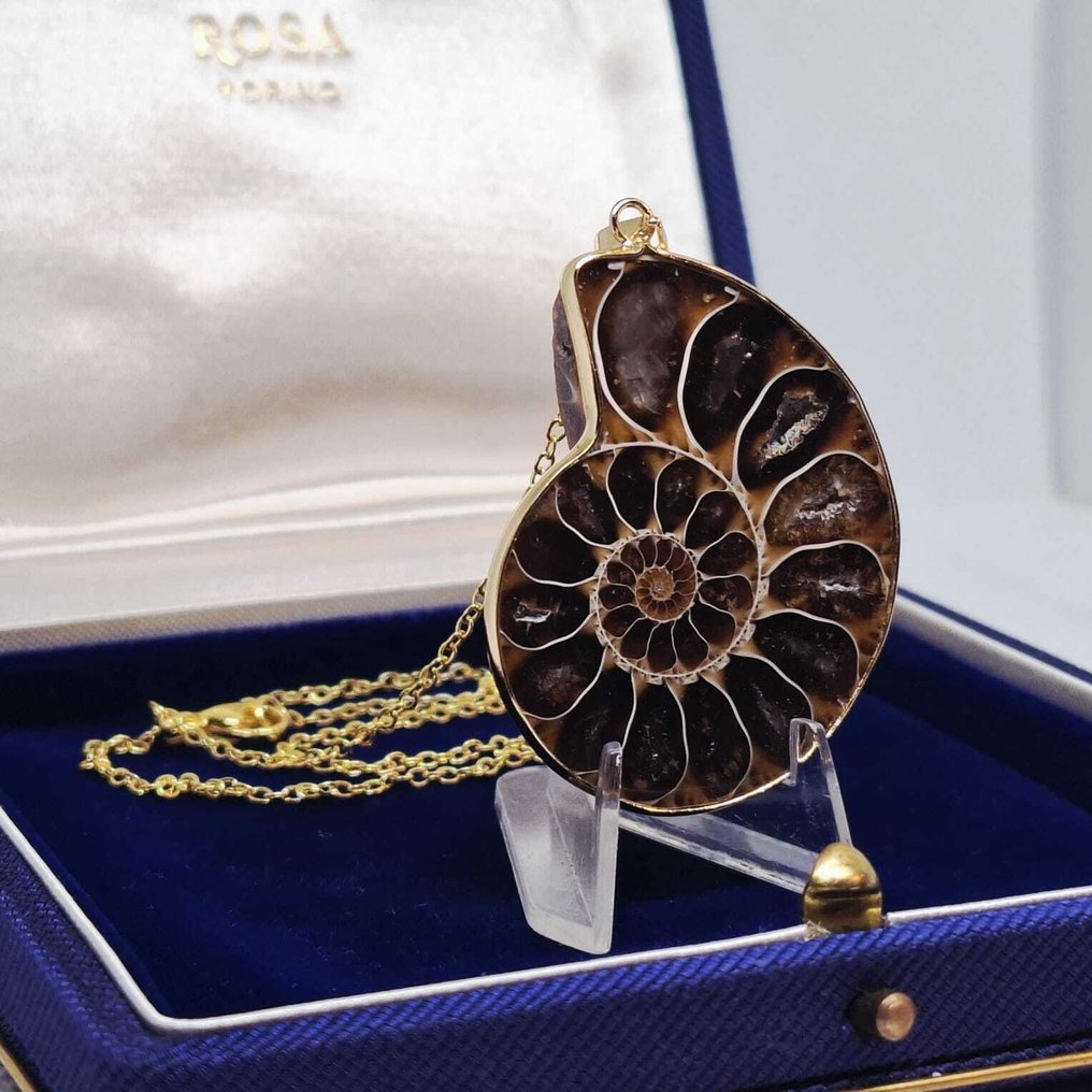 Gold-plated - Necklace with pendant - Ammonite fossil #1.0