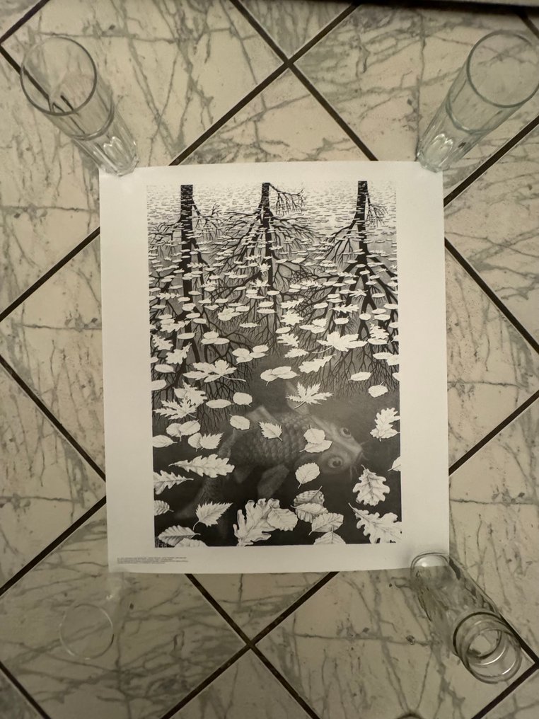 M.C. Escher (1898-1972) - Drie werelden #1.0