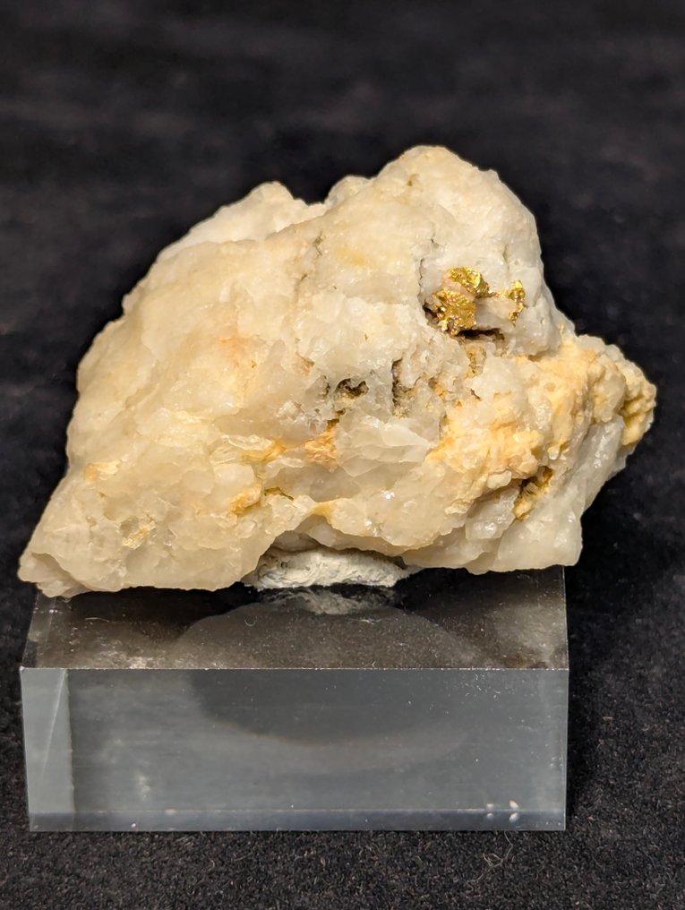 38克 - 惊艳且罕见的原生金，嵌在石英基质上——布鲁松，奥斯塔谷 标本 - 高度: 48 mm - 宽度: 29 mm- 38 g - (1) #1.0