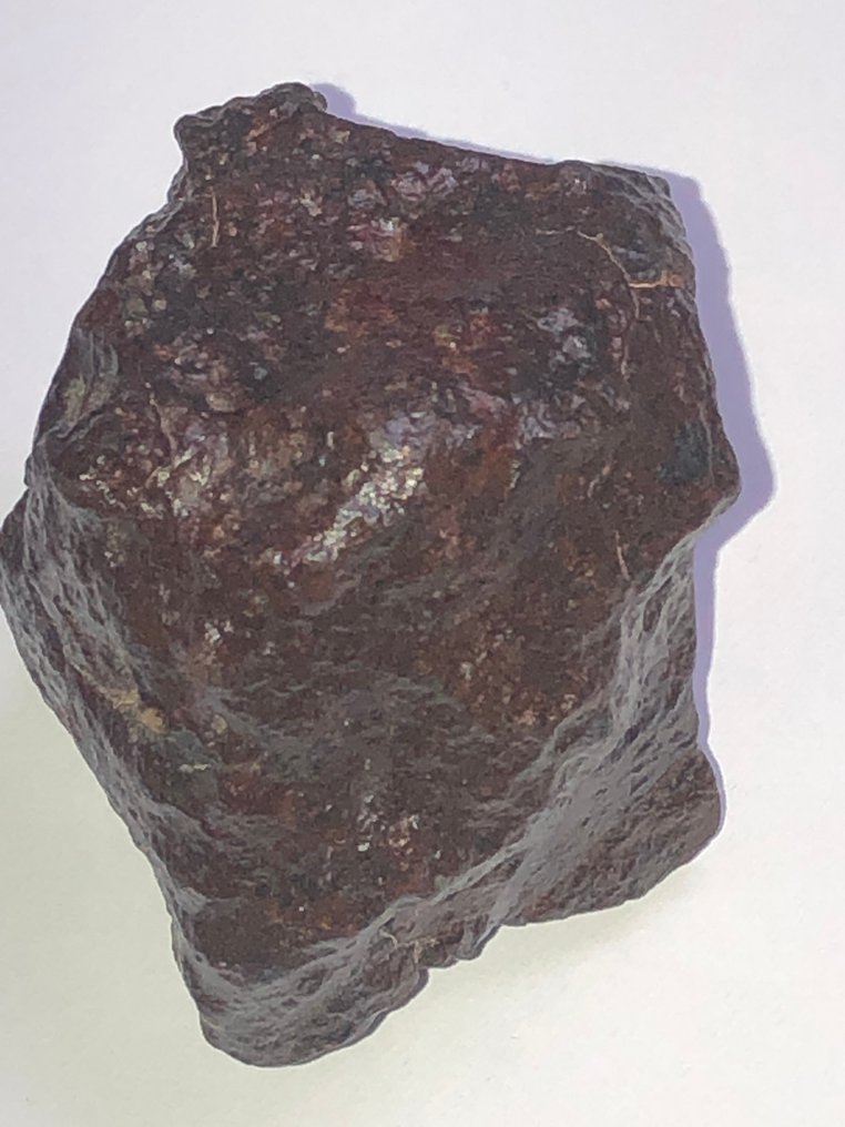 Ukategorisert meteoritt chondrite - analysert som LL3-W3 - Høyde: 4.5 cm - Bredde: 3.4 cm - 144 g - (1) #4.3