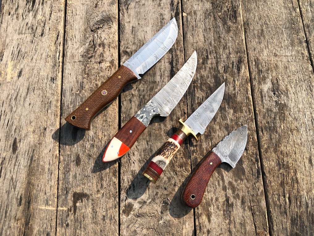 Kitchen knife - Prestigious Handmade Skinners Knives, Forged Steel, Stag Horn, Wood, & Rare Handle - North America - Leather Sheath A74 #4.3