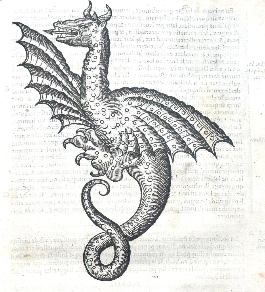 Ambroise Paré - (MONSTERS & WITCHCRAFT MEDICINE ILLUSTRATED) Les Oeuvres d'Ambroise Paré - 1585 #1.0