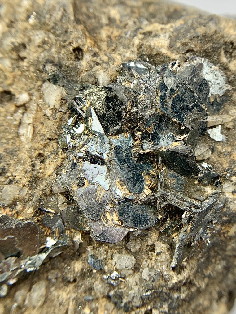 无底价血铁矿配金红石 标本和水晶 - 高度: 128 mm - 宽度: 69 mm- 719 g - (8) #4.3