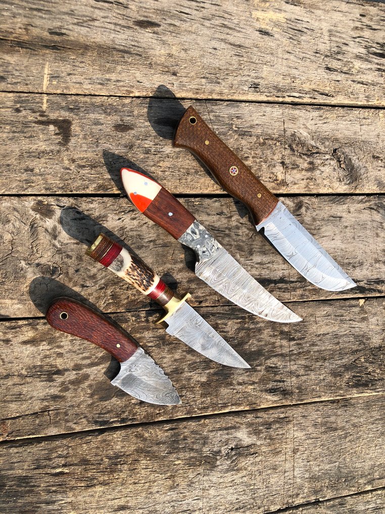 Kitchen knife - Prestigious Handmade Skinners Knives, Forged Steel, Stag Horn, Wood, & Rare Handle - North America - Leather Sheath A74 #3.2