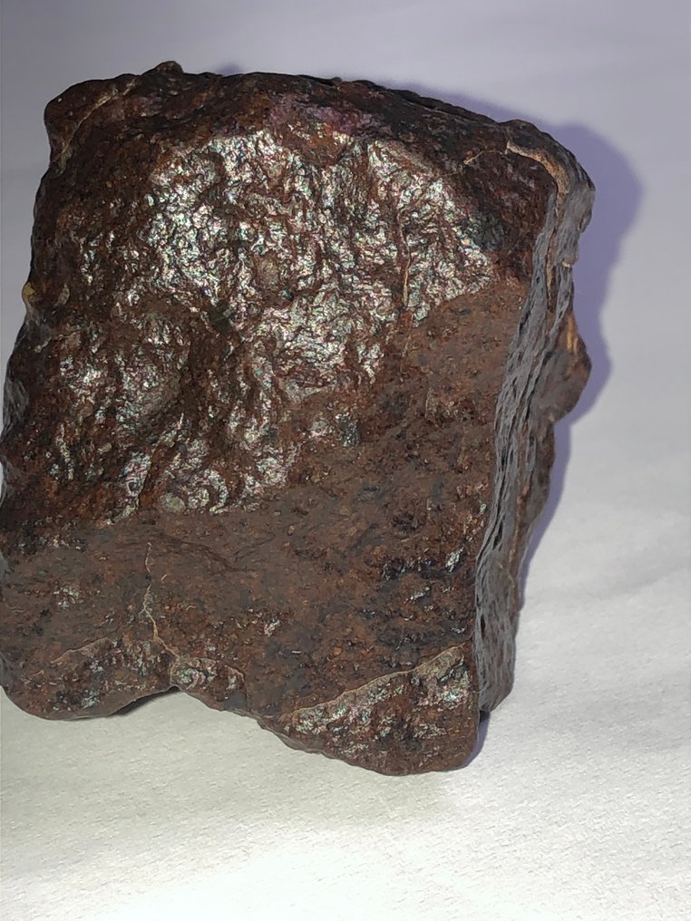 Ukategorisert meteoritt chondrite - analysert som LL3-W3 - Høyde: 4.5 cm - Bredde: 3.4 cm - 144 g - (1) #2.1