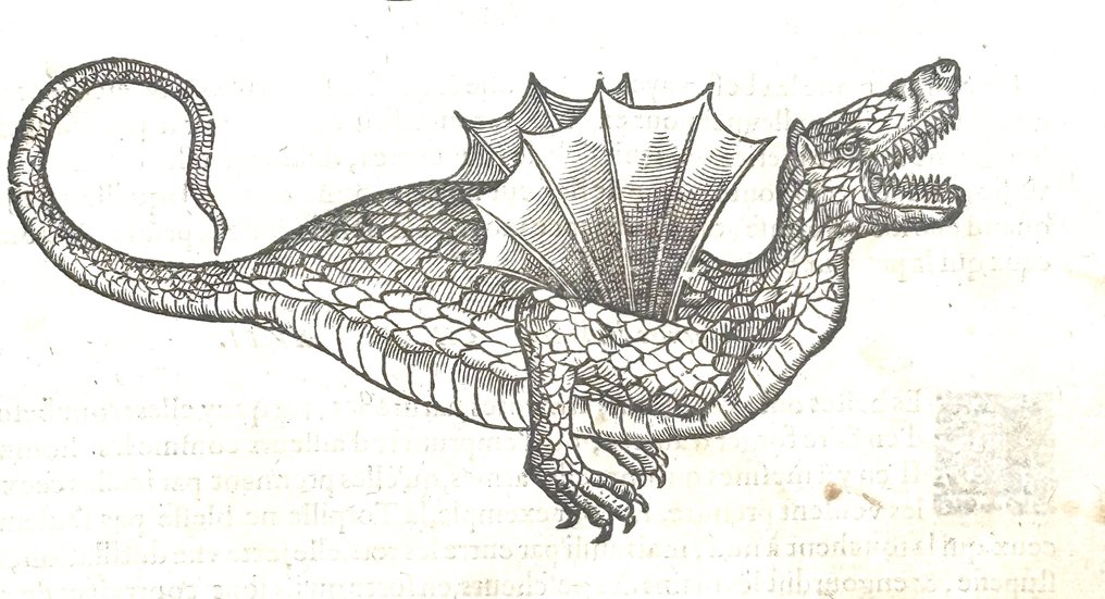 Ambroise Paré - (MONSTERS & WITCHCRAFT MEDICINE ILLUSTRATED) Les Oeuvres d'Ambroise Paré - 1585 #2.1