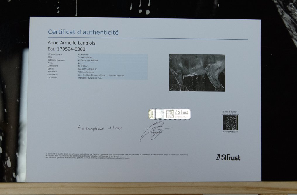 Anne-Armelle Langlois - Eau #4.3