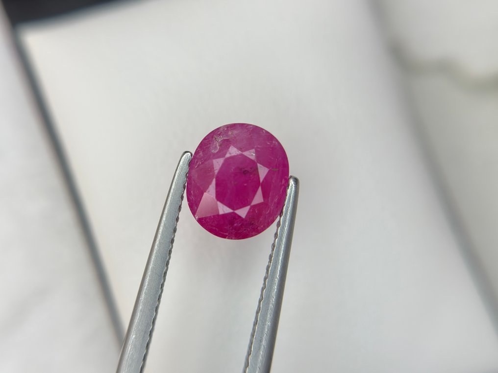 没有保留价 - 1 pcs 红色 红宝石 - 2.72 ct - Bellerophon 宝石实验室 - 缅甸 不加热/处理红宝石 #4.3