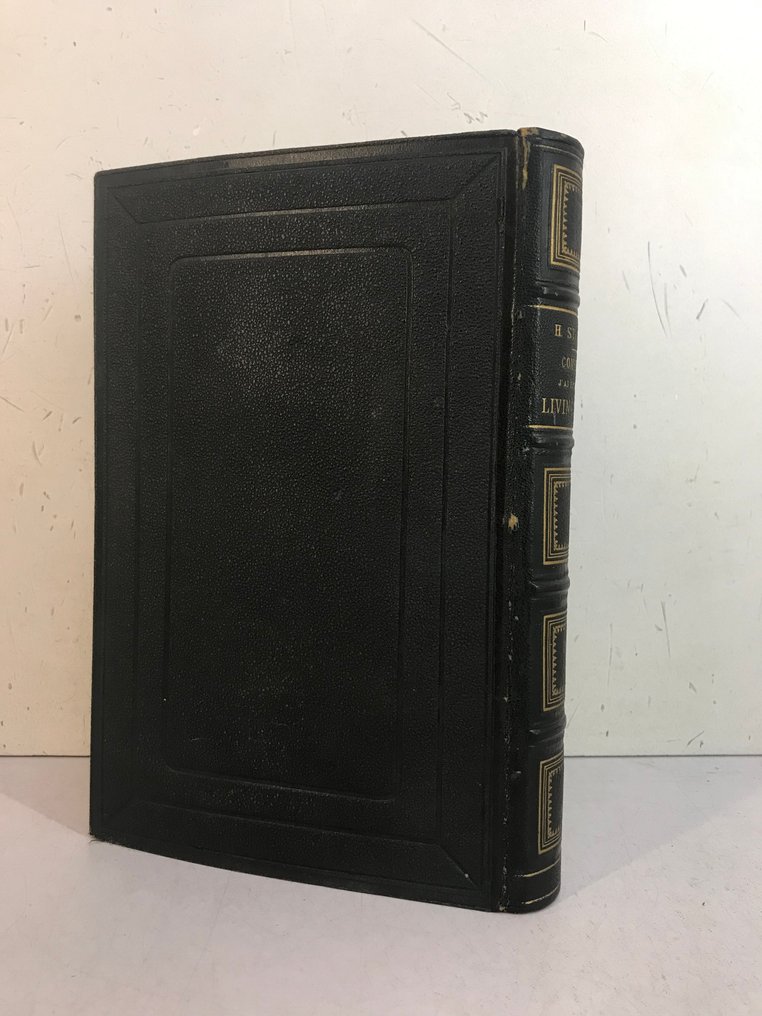 Henri M. Stanley / H. Loreau - Comment j'ai retrouvé Livingstone. Voyages, aventures et découvertes dans le centre de l'Afrique - 1874 #4.3