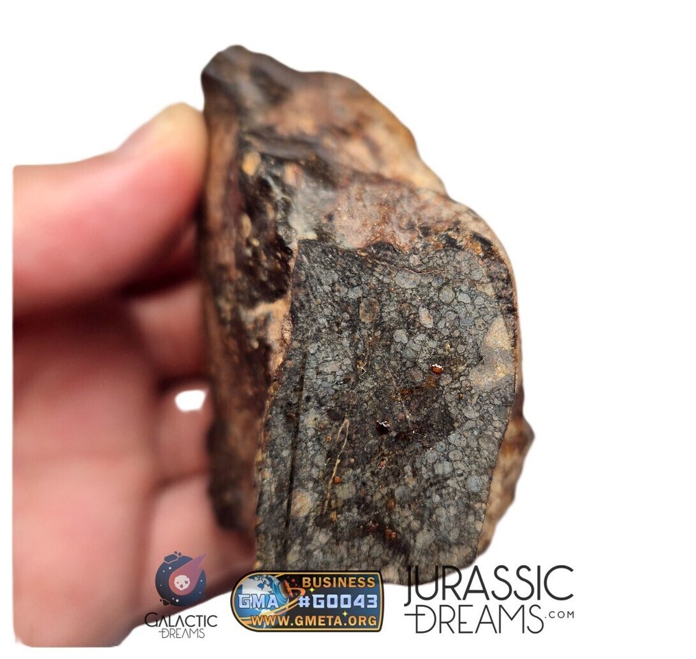 NWA 17596 huvudmassa vanlig kondrittyp LL3 meteorit 249g Ordinary Chondrite - LL3 - 249 g #1.0