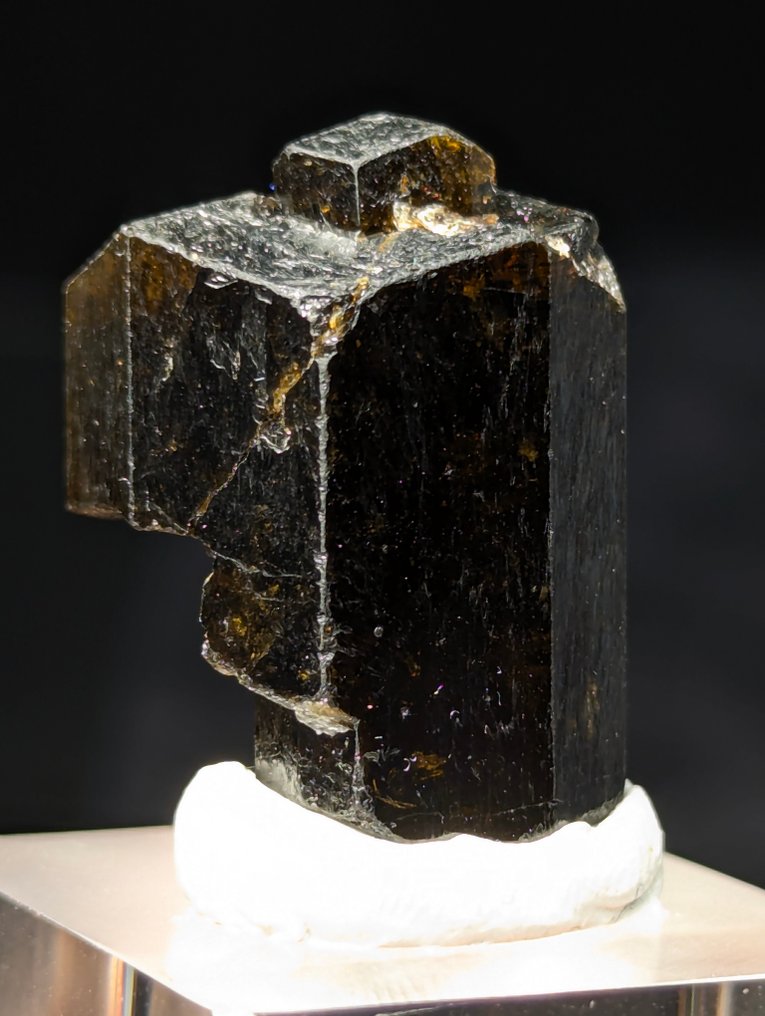 65 ct - Beautiful Dravite Tourmaline Terminated Crystal from Yinnietharra, Australia. Specimen - Height: 30 mm - Width: 19 mm- 13 g - (1) #2.1