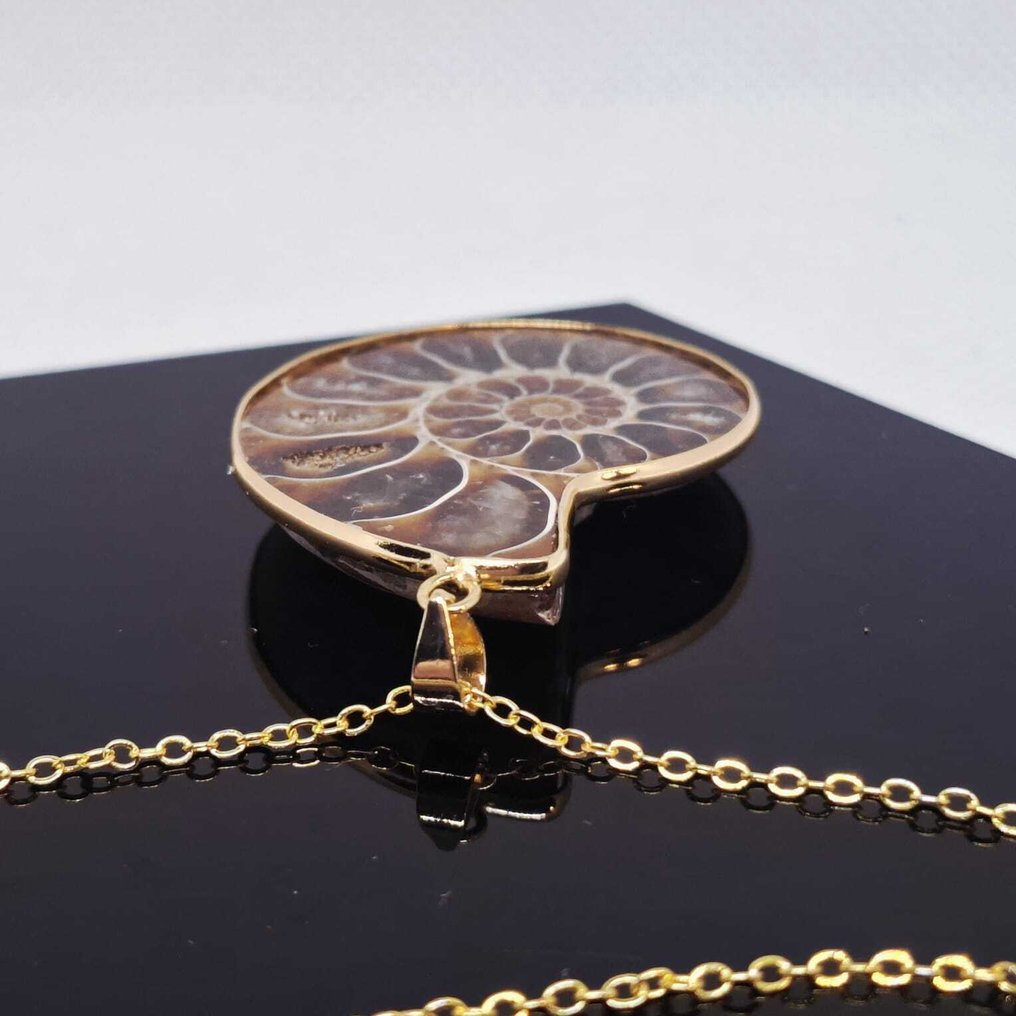 Plaqué or - Collier avec pendentif - Ammonite fossile #2.1