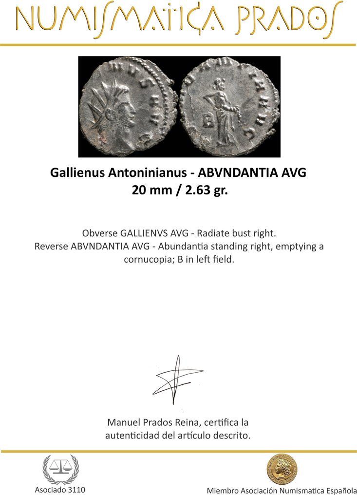 罗马帝国. 加利纳斯 （253-268）. Antoninianus ABVNDANTIA AVG  (没有保留价) #1.0