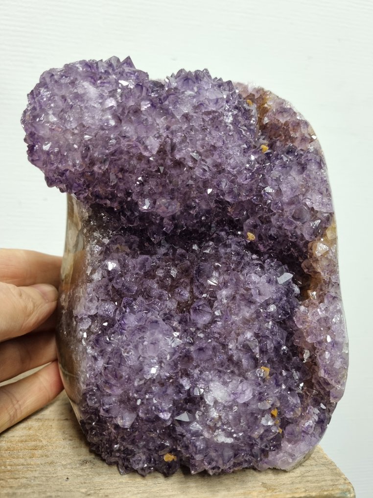 高品质 - 大紫水晶 - 钟乳石 奢侈品展示架上的集群 - 高度: 167 mm - 宽度: 130 mm- 2898 g #1.0