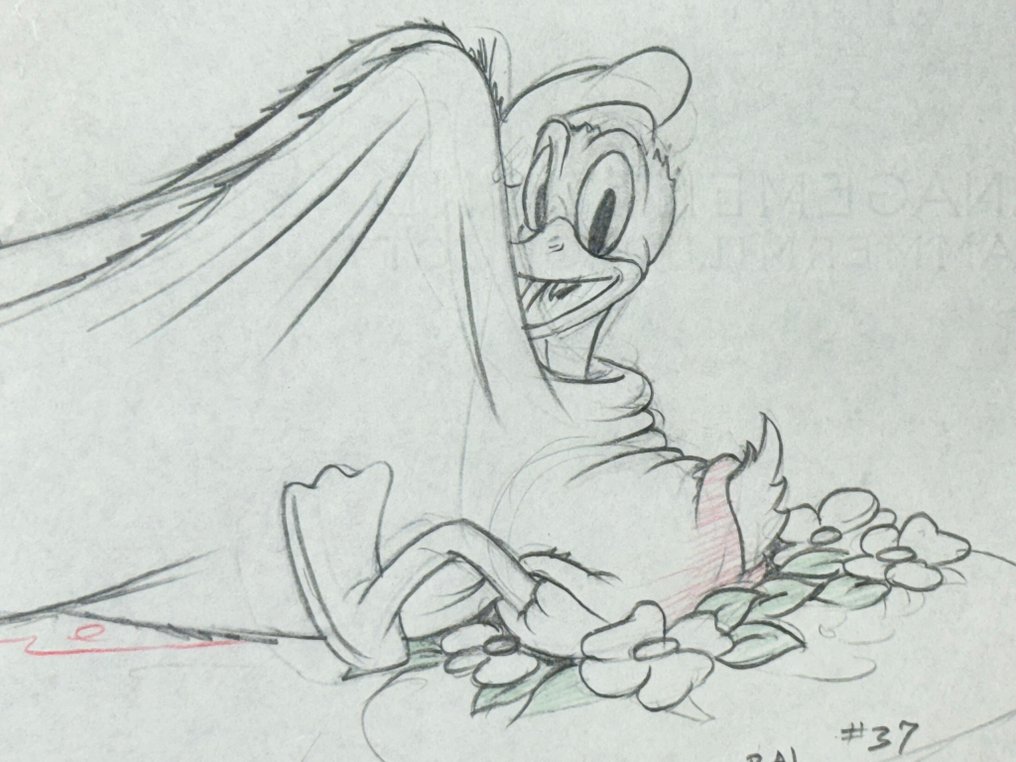 Walt Disney - Donald Duck Production Drawing (1937) - Moose Hunters #1.0