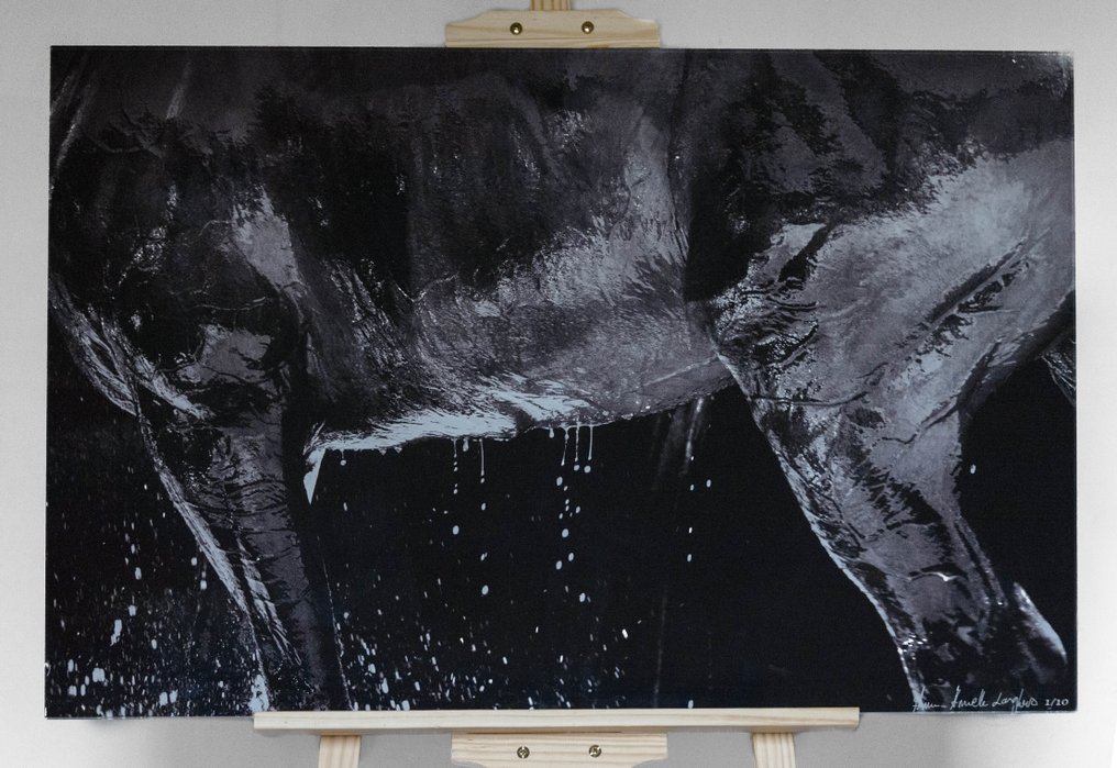 Anne-Armelle Langlois - Eau #1.0