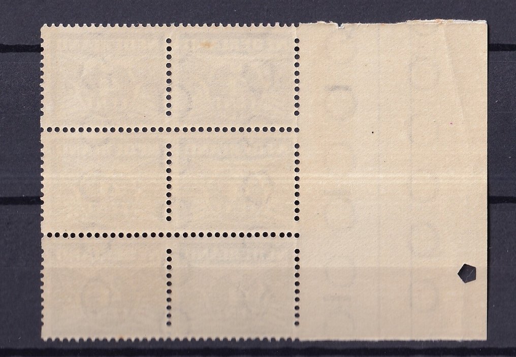 Netherlands 1930 - 5 blocks roll standing #4.3