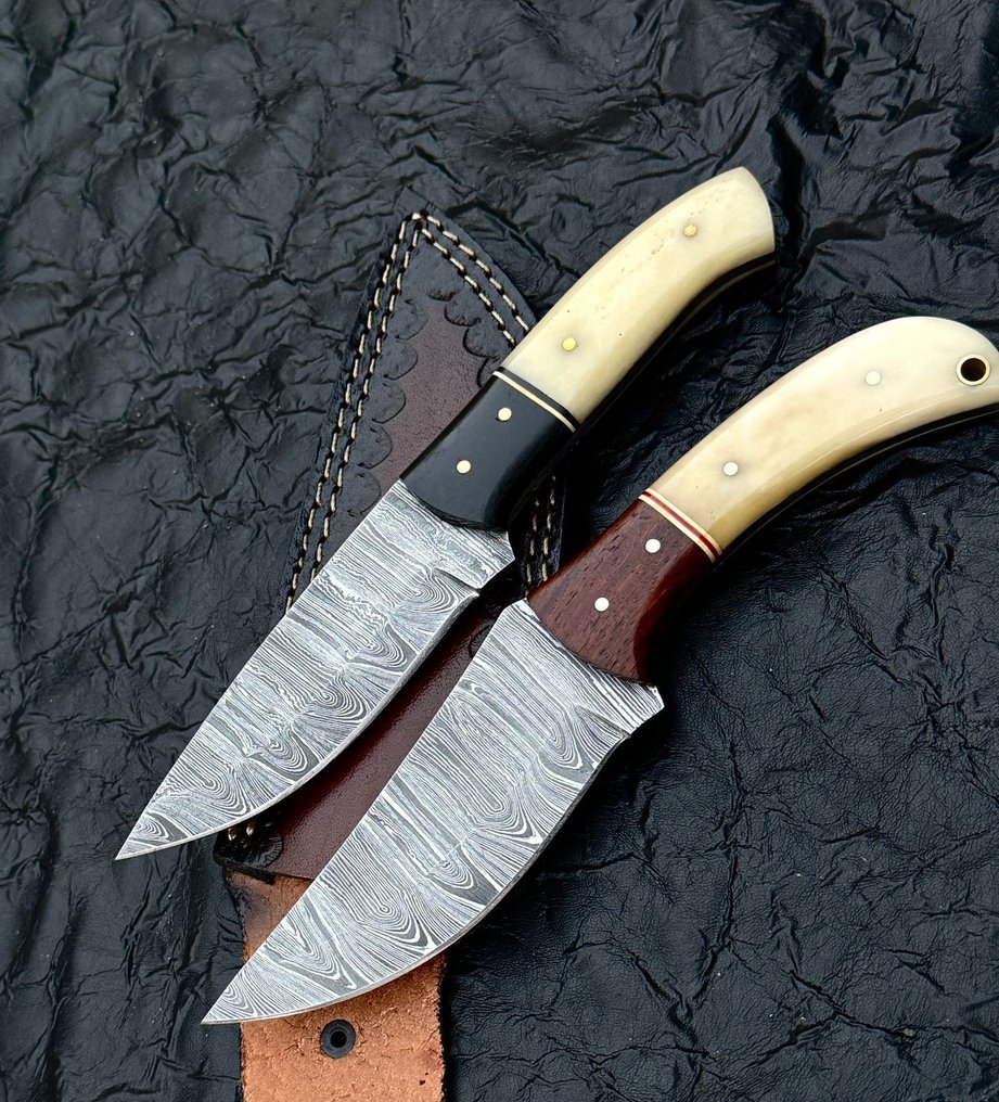 厨刀 -  厨房刀 - 餐刀 - 大马士革 10/95 15N20 水牛角、骆驼骨 - 木头 - 亚洲 #1.0