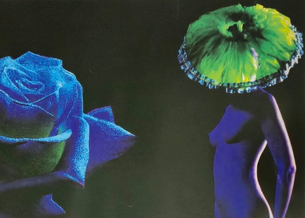 Pino Settanni - Indecorosa blu 2005 #1.0